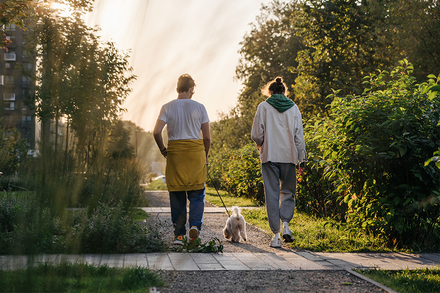 В квартале «Большая Академическая 85» появится свой бульвар